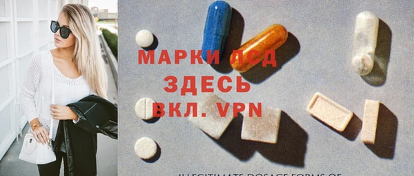 индика Зеленодольск