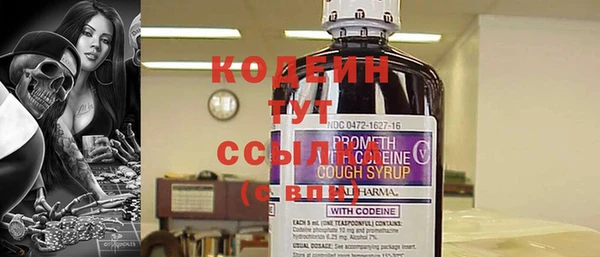 хмурый Инсар
