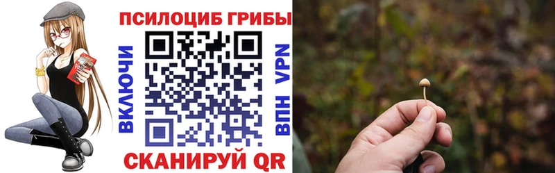 гидра вход  Урень  Галлюциногенные грибы прущие грибы  где купить наркоту 